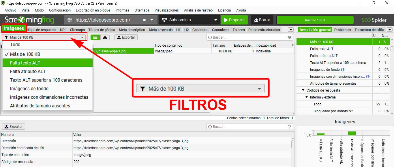 Curso-Gratis-Screamingfrog-buscando-errores-SEO-en-imagenes Curso Gratis Screamingfrog buscando falta de textos alt en imagenes. ToledoSEOpro